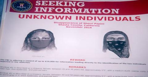 Drawings of the two women who allegedly abducted Sherri Papini