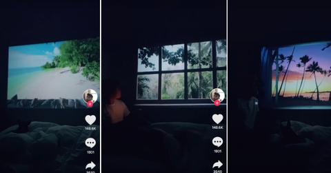 TikTok Fake Window Challenge