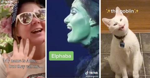 Amy Schumer, Idina Menzel, cat on TikTok