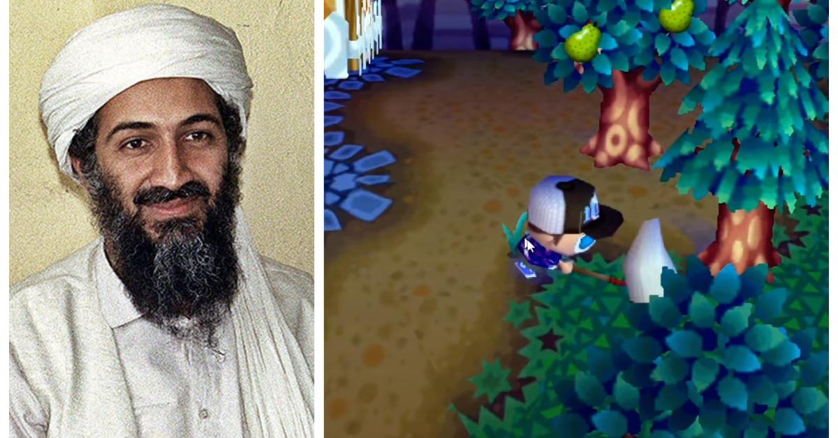 (L-R): Osama bin Laden; Animal Crossing