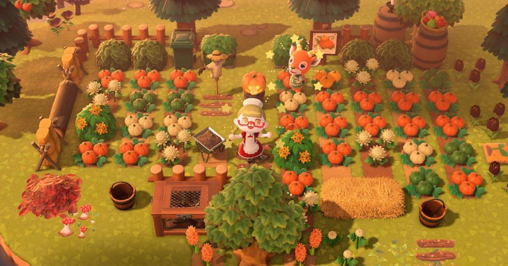  ACNH Pumpkin Patch Ideas You Might Want To Use On Your Island
