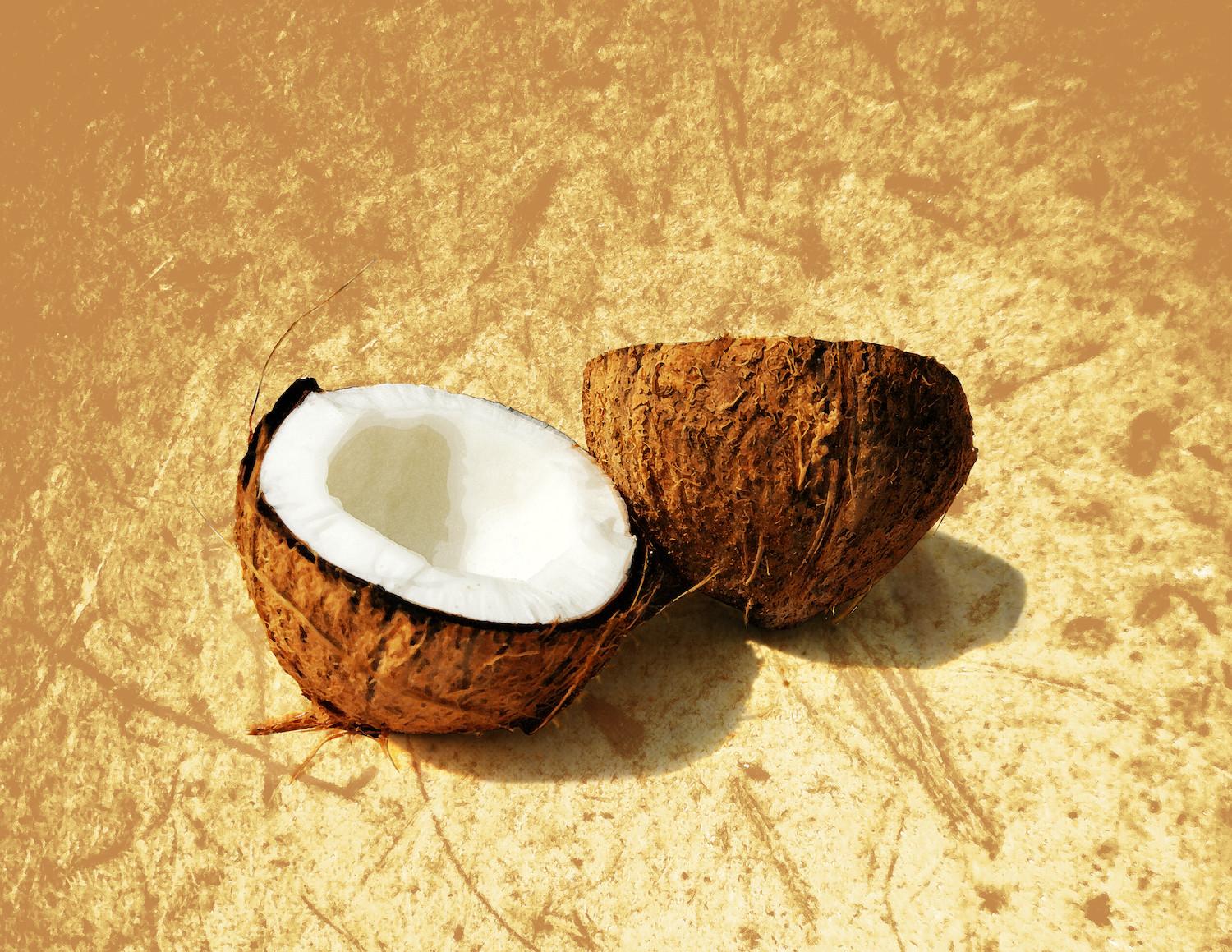 coconut