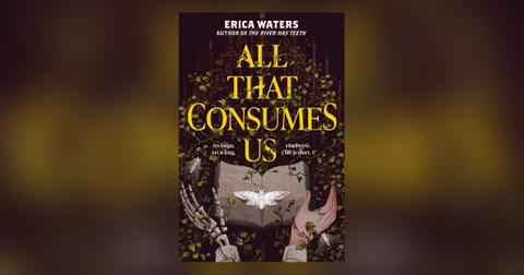 'All That Consumes Us'