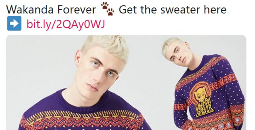 wakanda sweater forever 21