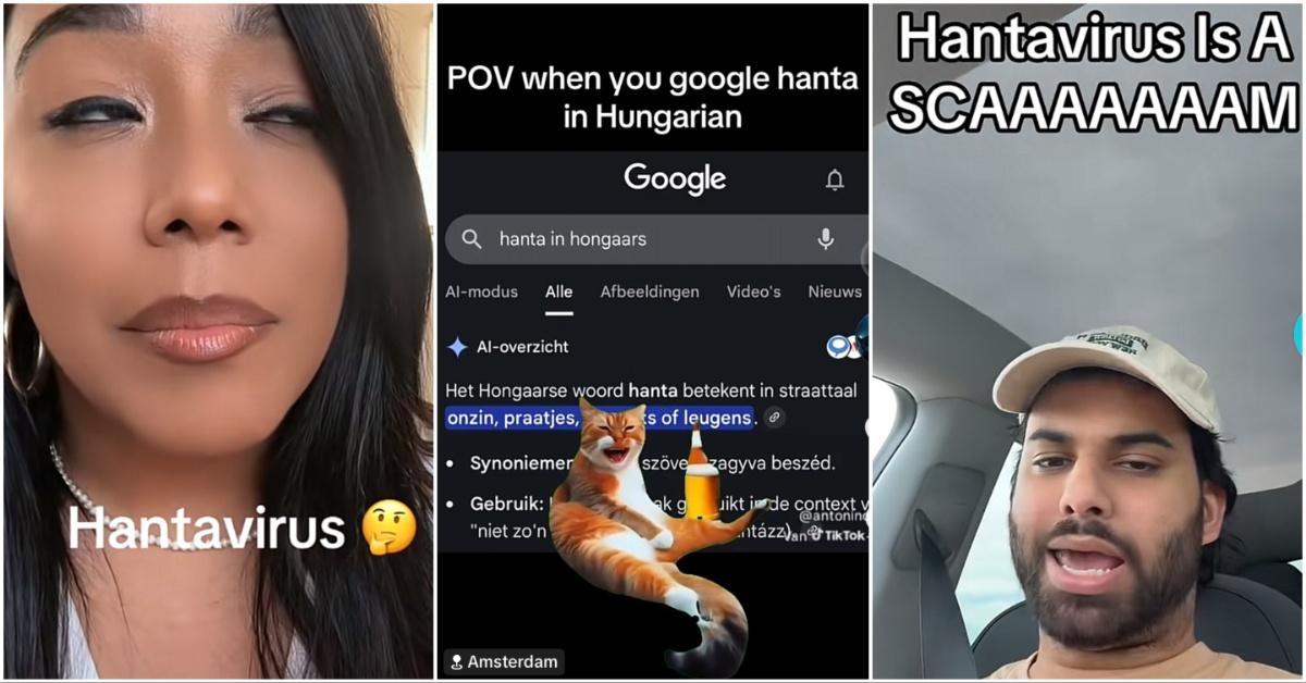 What Hanta Means in Hungarian Has TikTok Users Laughing Through Panic