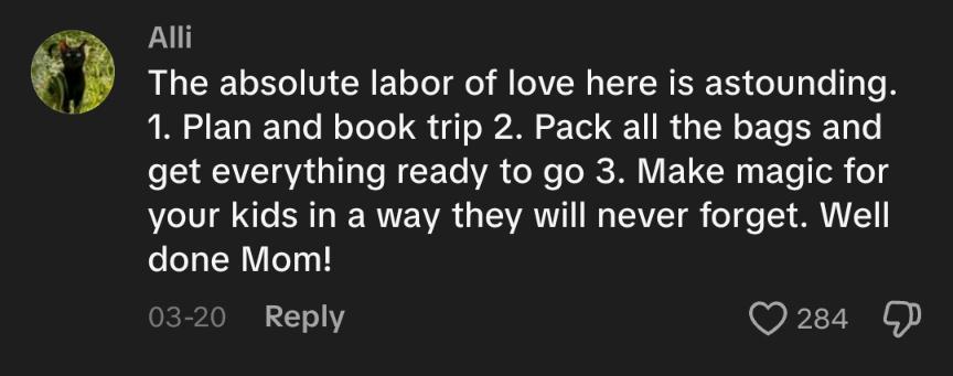 A user's comment on the TikTok about the Disney cruise.