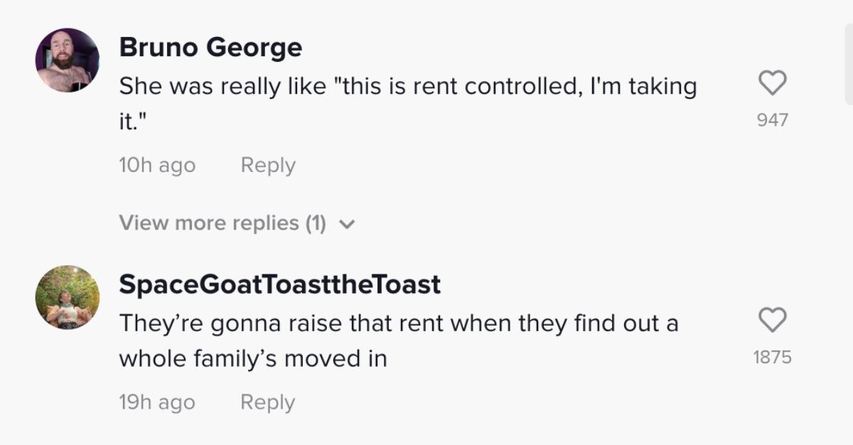 TikTok creators comment on @yokarleeferris's viral video about a pigeon nesting in an NYC apartment. 