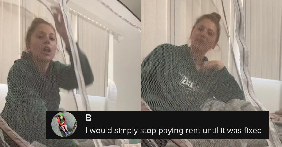 Tenant Sleeps in Tenant Because Landlord Won’t Kill Roaches