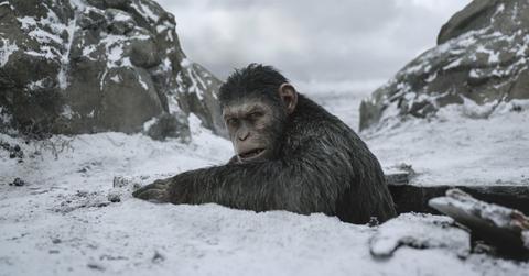 Caesar in 'War for the Planet of the Apes.'