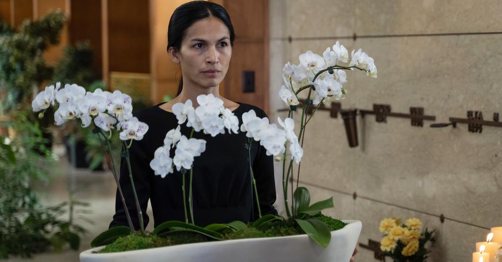 'The Cleaning Lady' Episode Schedule — Here's the Rundown