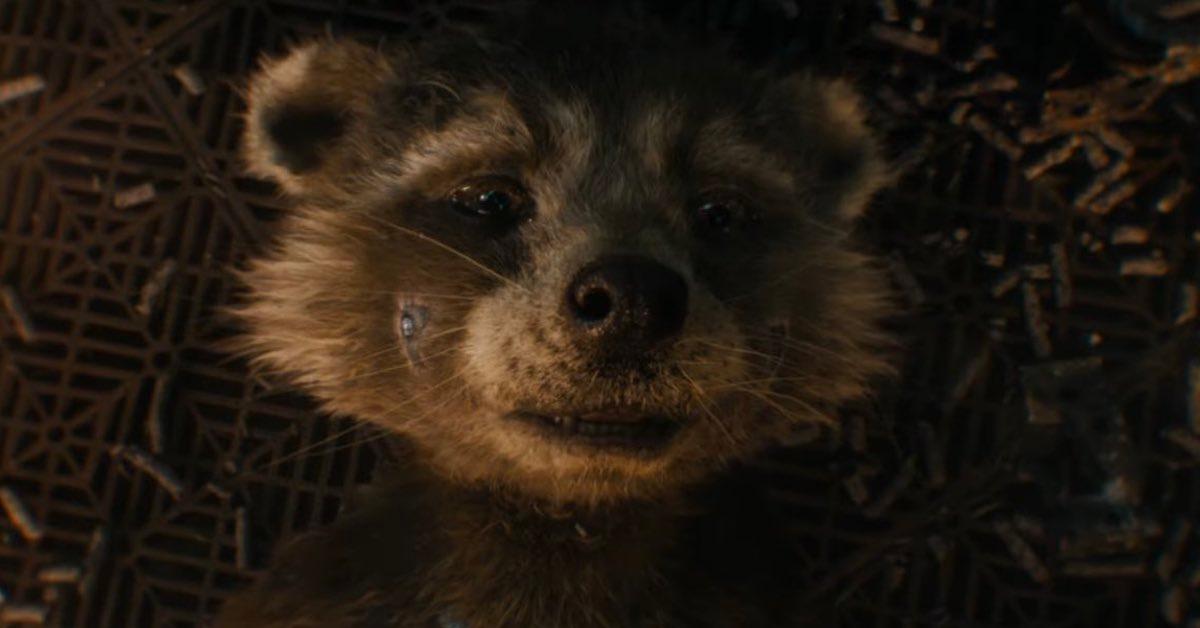 Rocket Raccoon in 'GotG Vol. 3'