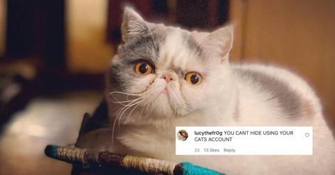 Ms. Fluffle Stilt Skin