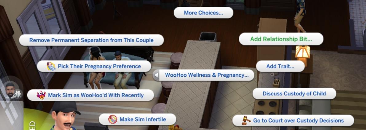 Relationship & Pregnancy Overhaul Collection – Lumpinou's Sims 4 mods