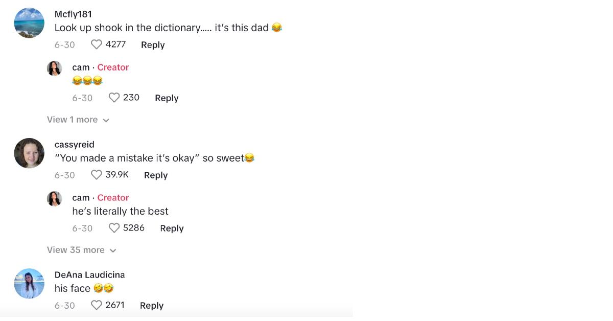 comments about tiktok where daughter pranks dad about paying hundred bucks for tire air