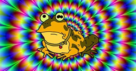 what happens if you lick a frog