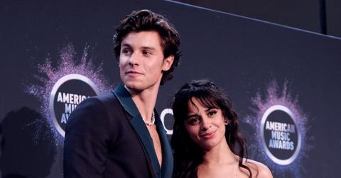 Shawn Mendes and Camila Cabello