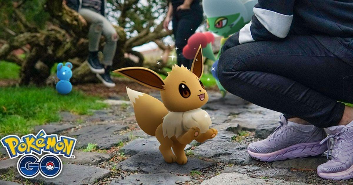 A trainer crouching down to interact with Eevee.