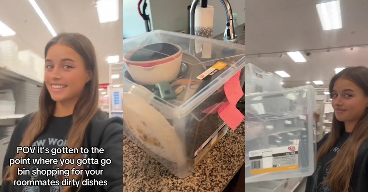 Woman Buys Bin to Stash Roommates’ Dirty Dishes