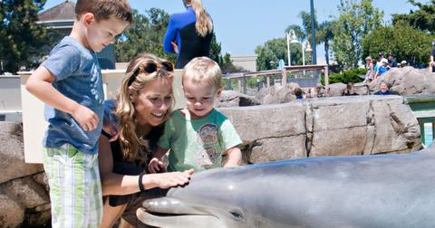 Sheryl Crow and her sons with Steime, a 22-year-old bottlenose dolphin, at SeaWorld San Diego