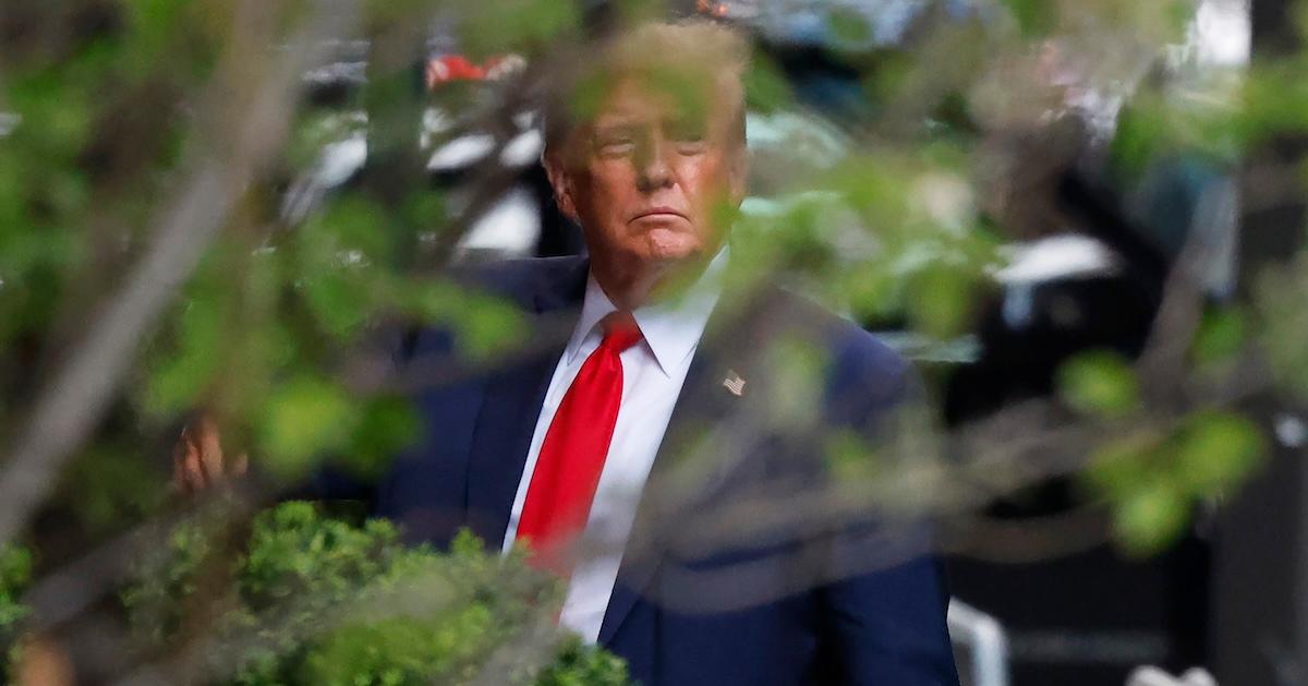 Donald Trump hiding behind a bush