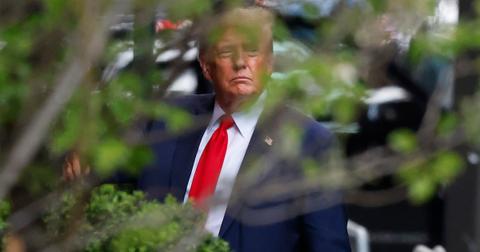 Donald Trump hiding behind a bush