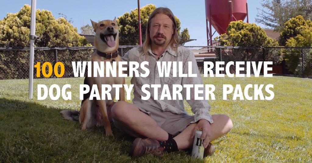 Everything You Need to Know About the Lagunitas Dog Contest, Explained