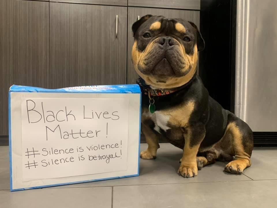 protest dog