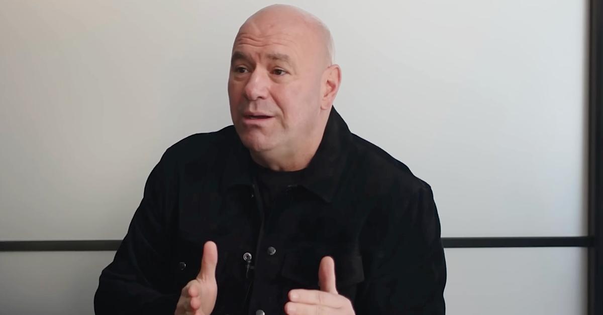 Dana White Says Gnats Could Crash UFC’s White House Fight