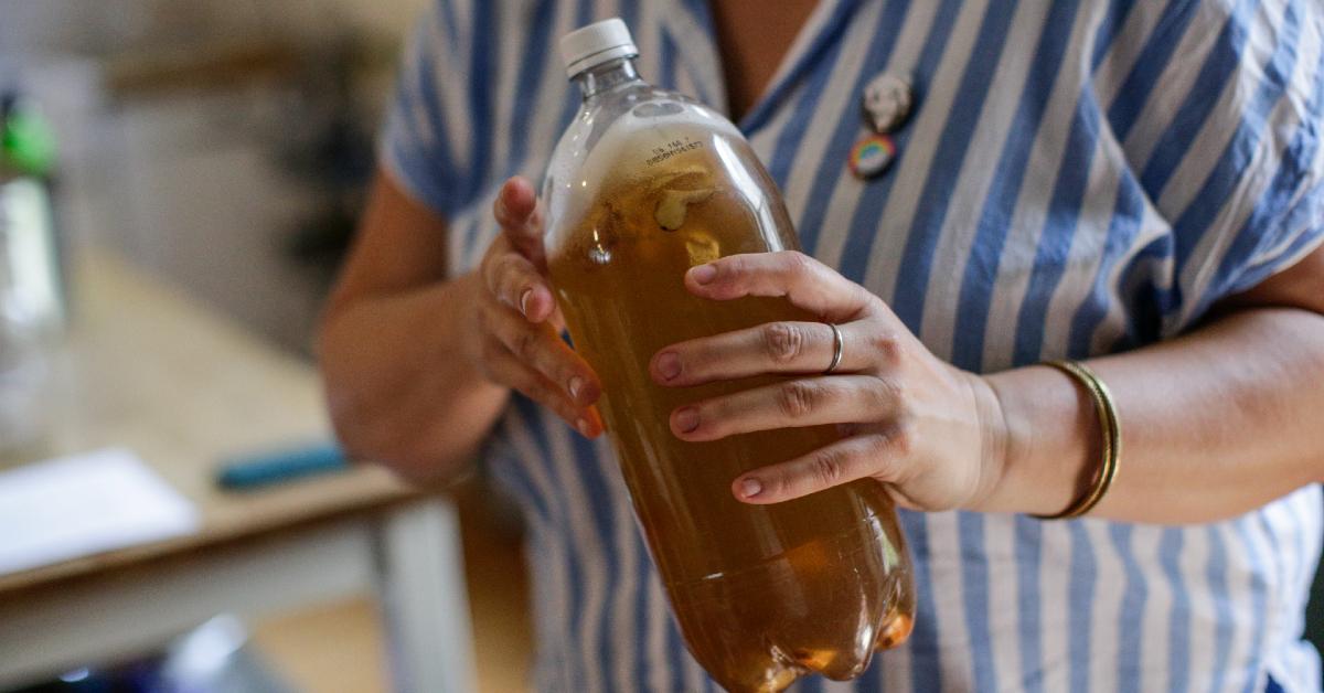 woman holds kombucha bottle