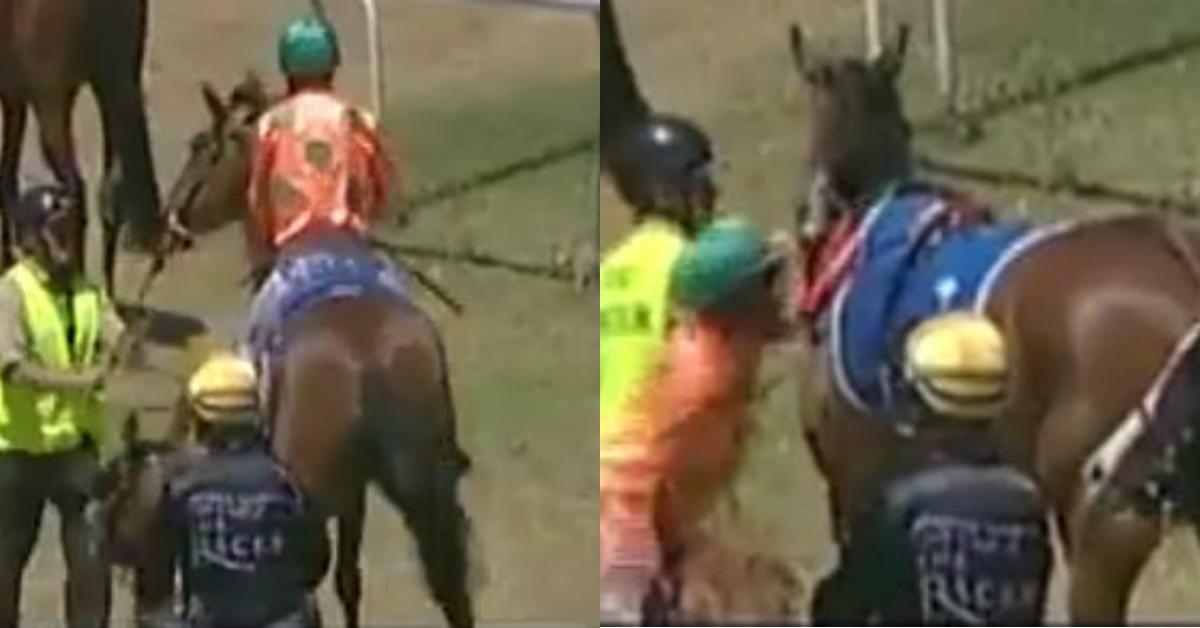 cover-horse-1510154307248-1510154309993.jpg