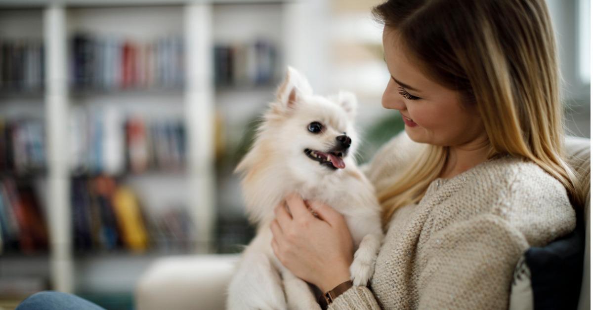 woman relaxing at home with her dog picture id