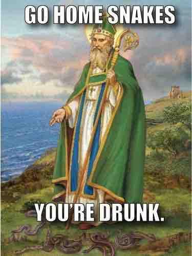 St. patrick's day meme "go home snakes you're drunk"