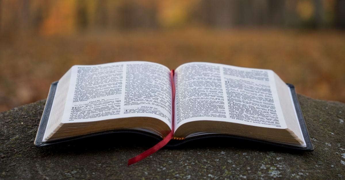The Bible sitting open on a rock with woods in the background