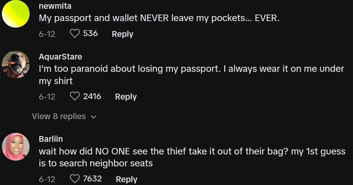 Commenters discuss the importance of keeping passports secure during travel