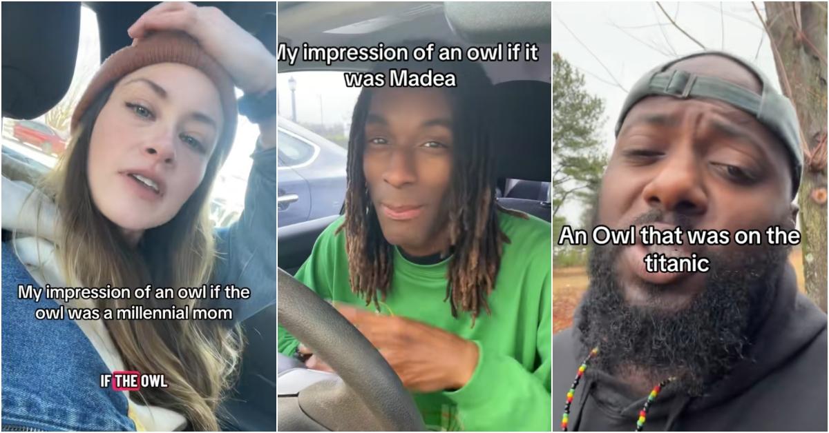 The Owl Impression Trend on TikTok Is Fun for Everyone