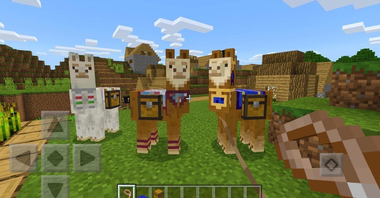 What Do Llamas Eat in 'Minecraft'? Here's How You Keep Them Well Fed