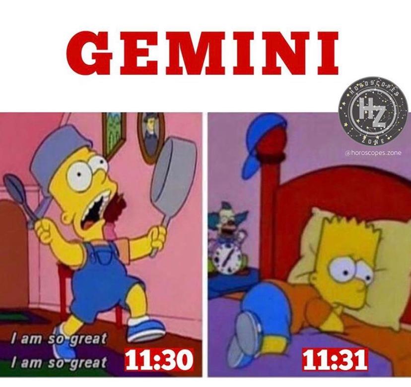 leo and gemini memes