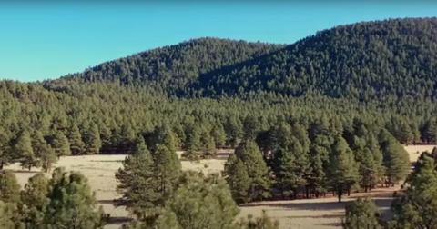 Where Do the 'Sister Wives' Live Now? Things Have Changed