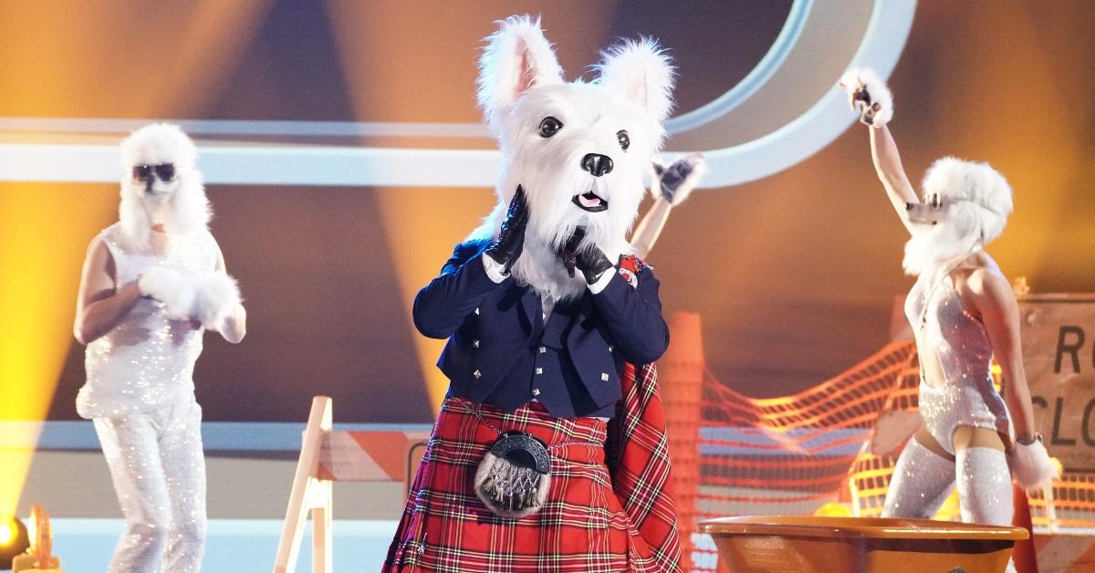 McTerrier on 'The Masked Singer'