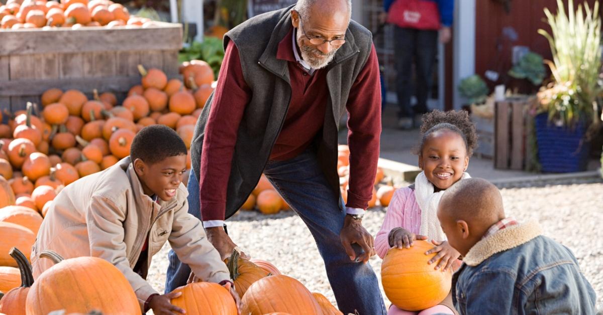 pumpkin patch safe