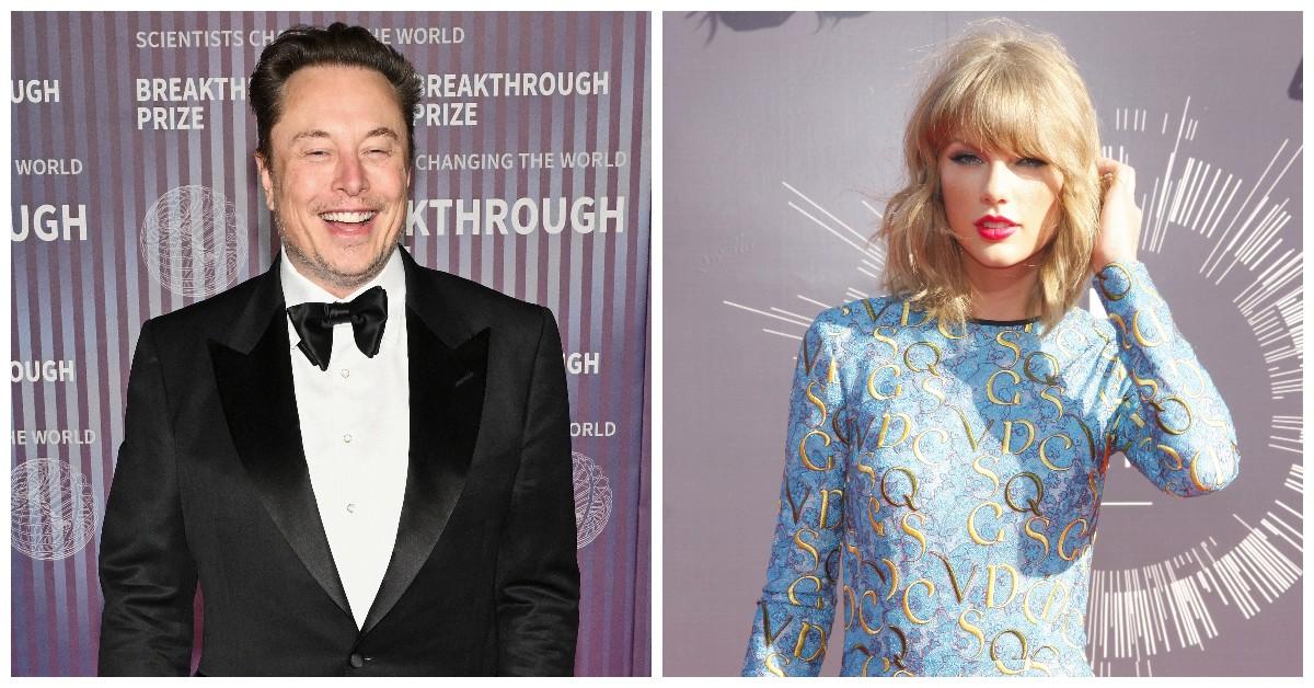 Elon Musk / Taylor Swift