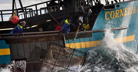 deadliest-catch-1555354852120.jpg