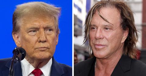 Donald trump mickey rourke