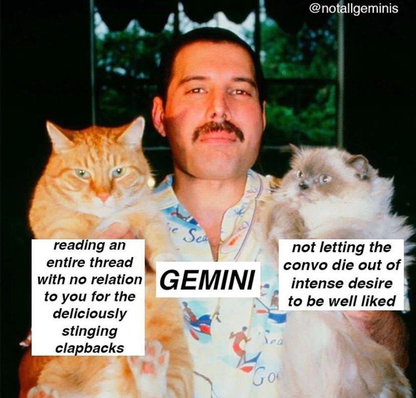 gemini season memes