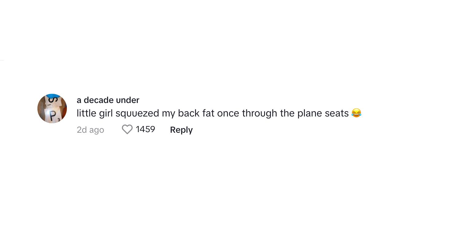 A commenter said a little girl squeezed their back fat on an airline