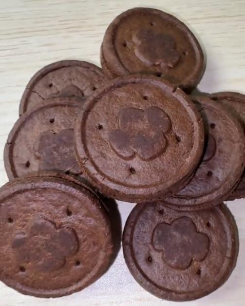 Girl Scouts cookies boast new flavor: Exploremores