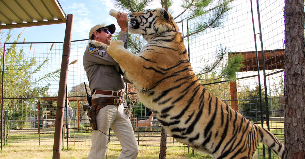 greater wynnewood exotic animal park open