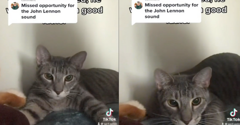 Kill John Lennon TikTok Trend