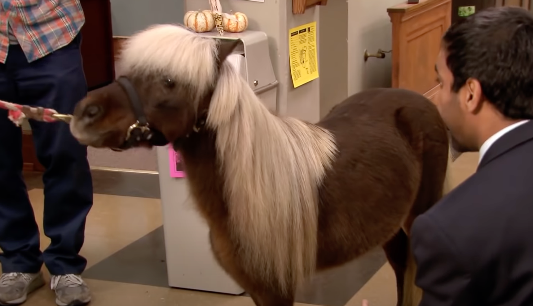  Li'l Sebastian