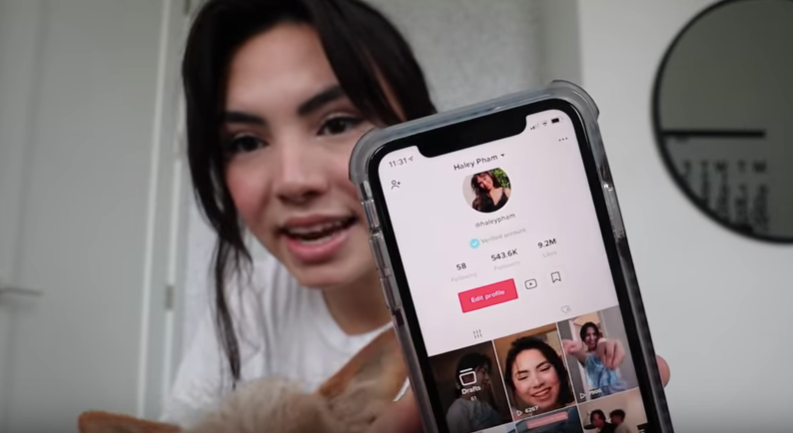 Haley Pham's TikTok Journey and Other Controversies Throughout 2019